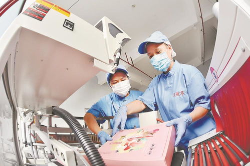古田 工厂化生产食用菌