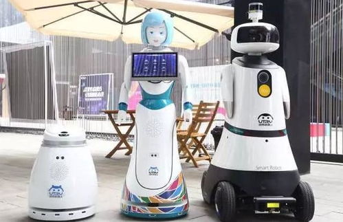 丁磊今年不光带了猪 且看小马哥今年能否称霸酒桌