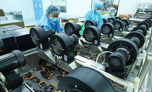 科技赋能 植物工厂 张掖农特产品提质增效凤凰网甘肃 凤凰网